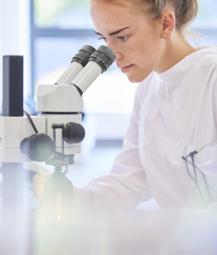 Concentrating in the lab